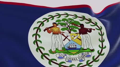 Belize National Flag Waving Seamlessly with Realistic Fabric Texture