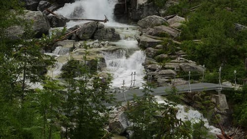 Scenic view of waterfall in forest, High Tatras, Slovakia