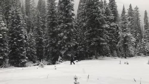 Man cross country snow skiing in Montana mountains on Christmas holiday
