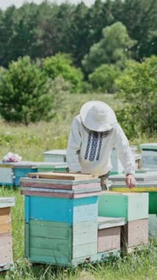 Beekeeper Tending Hives on a Sunny Day