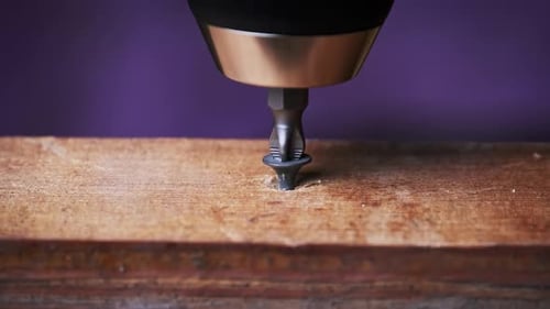 CloseUp of Screw is Unscrewed From a Wood Board with a Screwdriver
