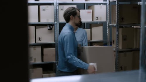Lagerarbeiterin stellt Pappschachtel in ein Regal und lächelt bezaubernd. In den Hintergrundzeilen