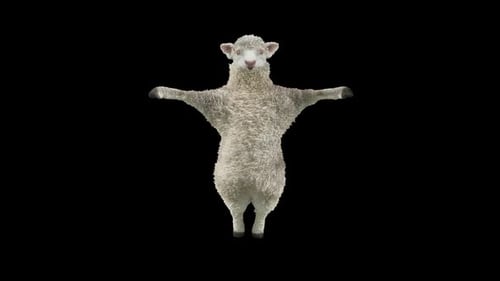 Cute Sheep Dancing Loop Animation