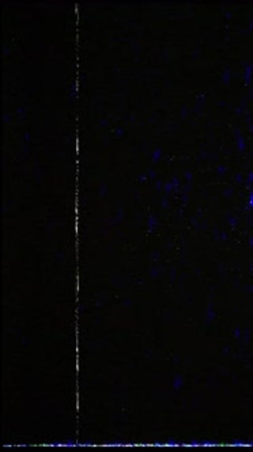 Vertical Glitch Effect Digital Distortion Overlay