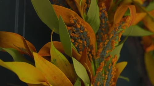 Extreme close up on a wreath made off fake autumn plants.