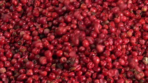 Pink peppercorns or himalayan red pepper berries falling down background closeup top view. Spice