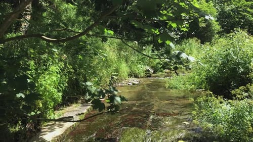 Sommertag mit einem fließenden Bach in einer bewaldeten Landschaft in England.