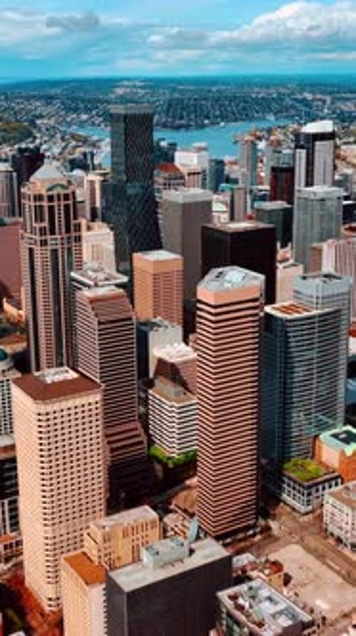American city buildings aerial view. Urban architecture metropolis. Vertical video