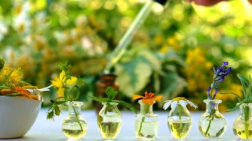 Essential Oil Combination with Flowers and Herbs