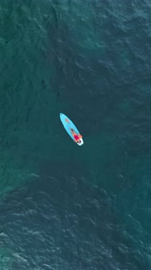 Vertical Video People Paddle and Float on SUP Boards Over Clear Azure Waters in the Open Sea