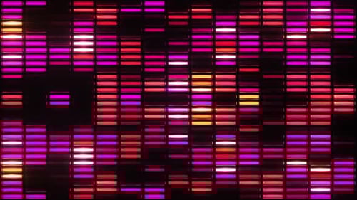 Neon Equalizer Light Flashing