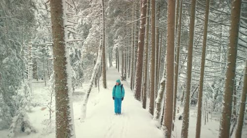 Woman walking on snowed footpath through pine trees in winter forest