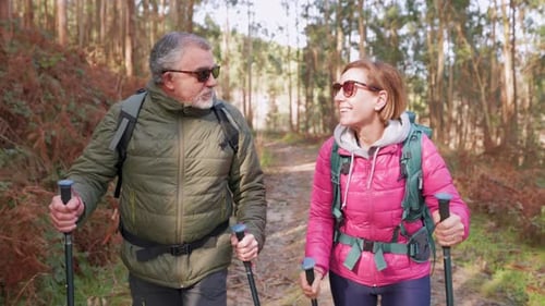 Senior couple enjoying trekking in the forest with walking poles