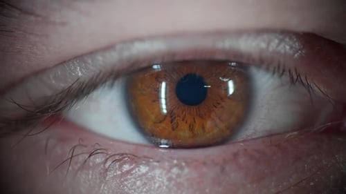 Extreme Close Up of an Eye Opening