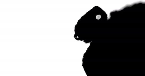 Black Ink Stain Spreads on White Background