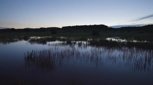 Evening Reflection On Pond, Sunset Colours At Twilight