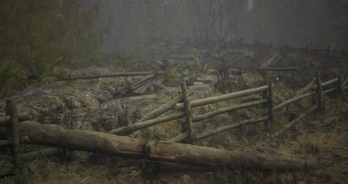 Atmospheric Misty Forest with Glowing Particles and Wooden Fence