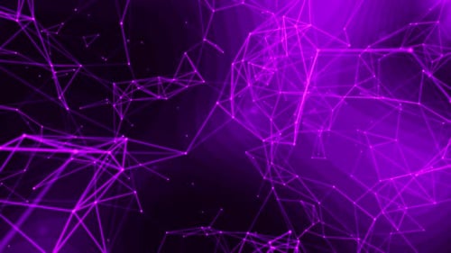 Dynamic Abstract Purple Plexus Network Background Animation