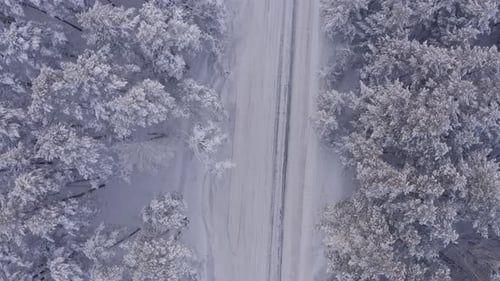 Aerial Footage of Road in Winter Forest Landscape