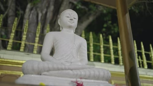 Marble Buddha Statue Sits at Night in Serene Temple Lit Softly Against Dark Forest Backdrop Sacred