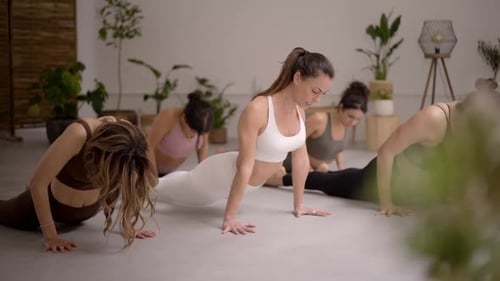 Group of Women in a Yoga Class Practicing Diverse Pose Inside Studio