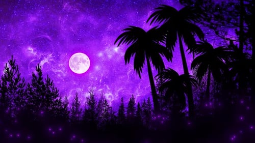 Wunderschöner violetter Himmel über Palmen und Wald