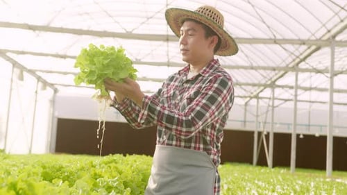Happy male farmer working in hydroponic greenhouse farm