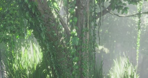 Lush Green Tree Covered in Vines with Sunlight Filtering Through Leaves