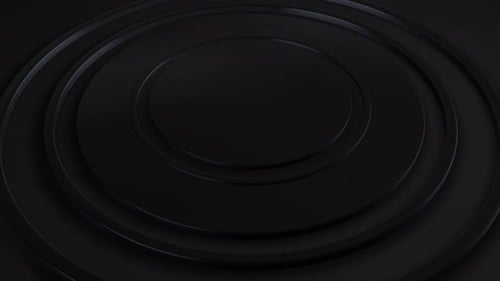 Modern Abstract Black Circles Smooth Reveal