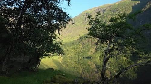 calm fjords of Norway in summer