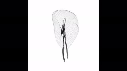 Rotating Spleen Minimalistic Wireframe Endless Loop 4K 60FPS