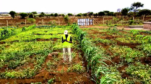 Rural agricultural farms in Kenya. Drone pilot land survey. Smart Agriculture technology.