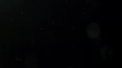 Collider Collection: Soft dust bubble effect falling over a black background