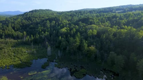 Aerial/Drone Fly Toward Lake over Mountain Forest on Summer Day