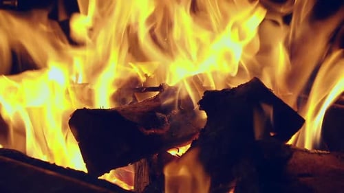 Hot orange flames blaze in dark night campfire, full frame close up