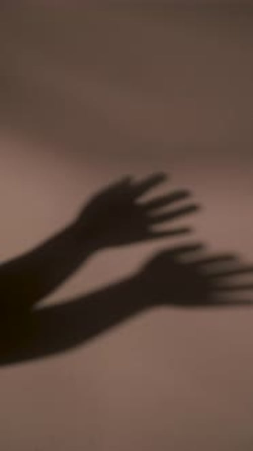 Hand Shadows Performing Against a Wall in a Room