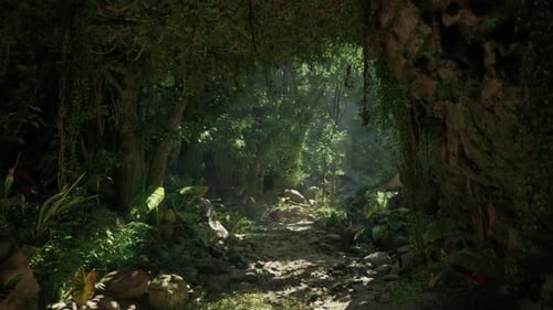 A Serene Dirt Path Winding Through a Lush Forest in New Zealand