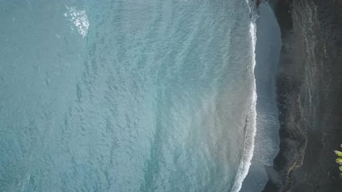 Cinematic Wild Nature Aerial Slow Motion Blue Ocean Waves and Green Palms USA