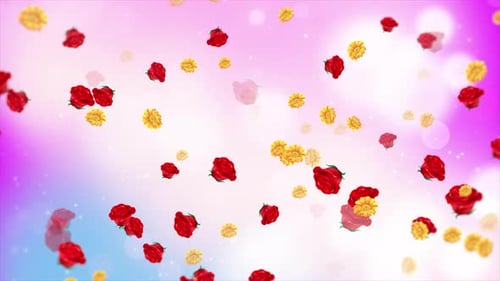 Colorful Blurred Particle With Flower Background Loop