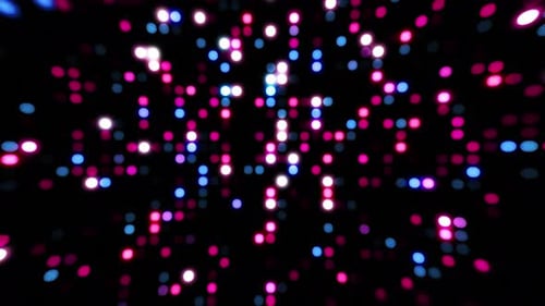 Neon Lights