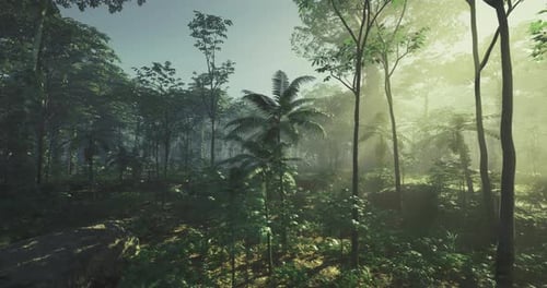 Lush Tropical Forest Path Exploration with Sunbeams