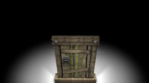 Rustic Wooden Door with Green Accents