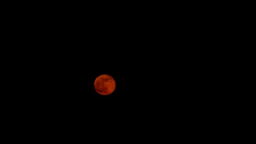 Orange Moon Rising in Dark Sky