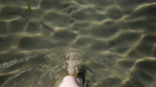Top view of female legs walking in clear water with sand at the bottom