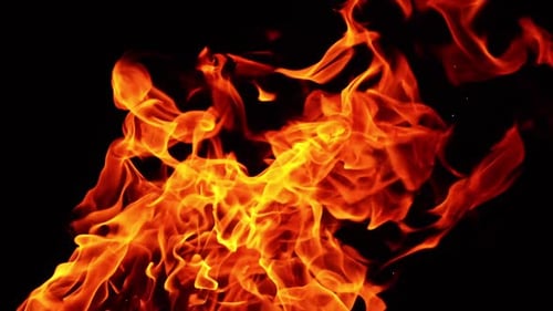 Hot red flame from the bonfire. Upper part of bonfire at black backdrop isolated. Close up.