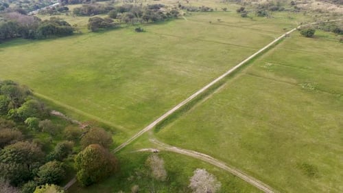 An aerial view of a vast green field with scattered trees, intersected by dirt paths winding through