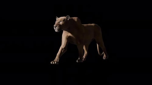 Realistic 3D Puma Walking Animation with Alpha Channel
