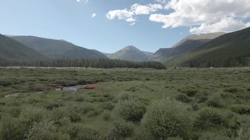 Aerial view along a mountain stream and meadow with distant peaks
