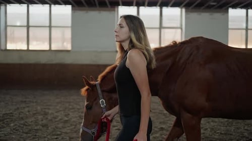 Blonde Woman Leads Brown Horse By Bridle Along Indoor Arena