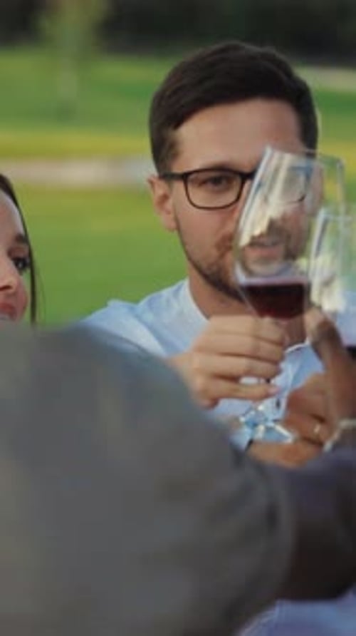 Friends Toasting Red Wine in a Field